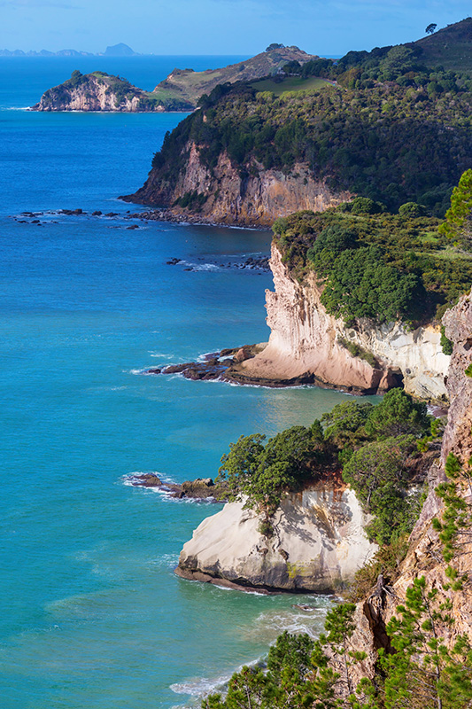 New Zealand mountain and lake landscape placeholder