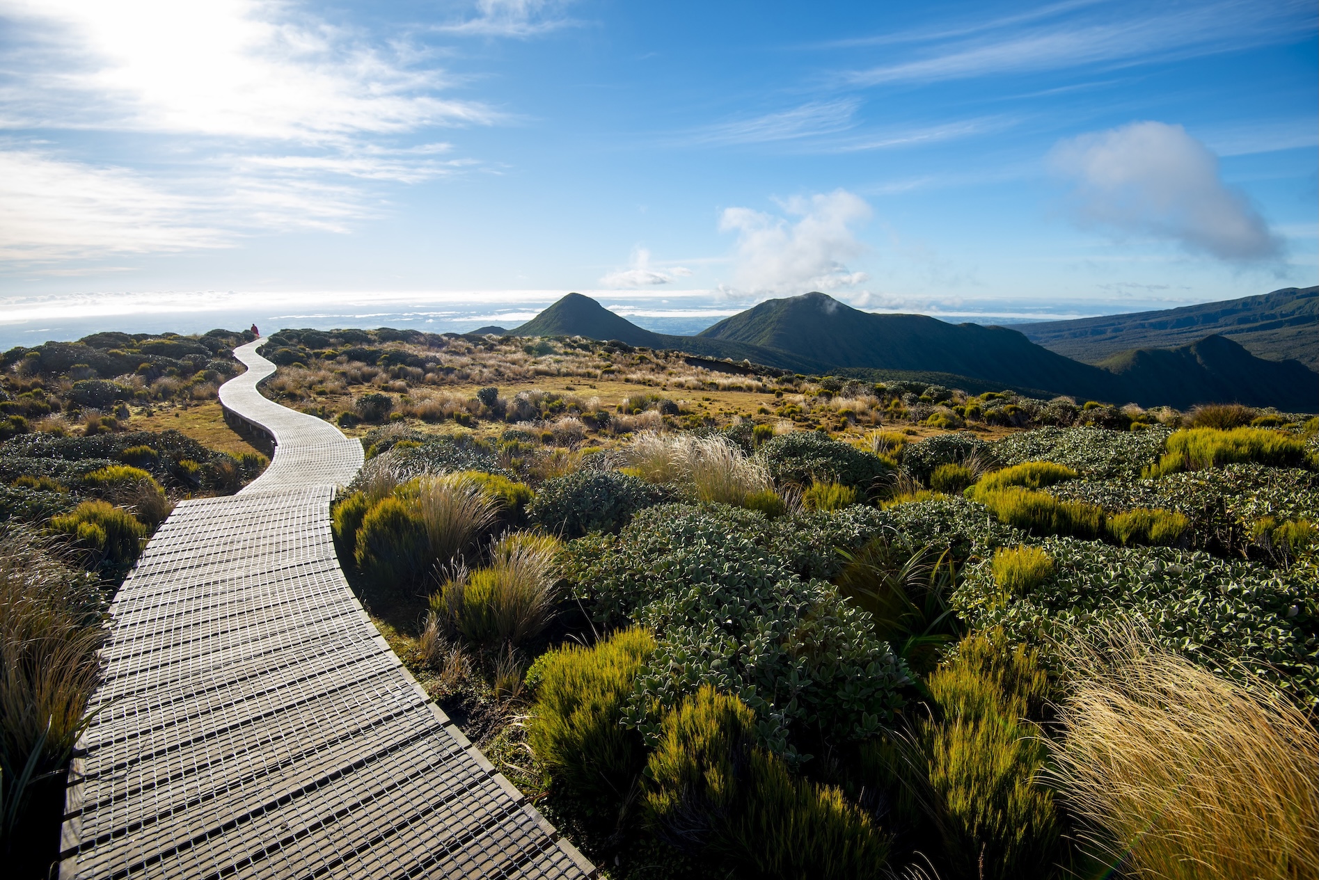 New Zealand Cliffs and Boardwalk