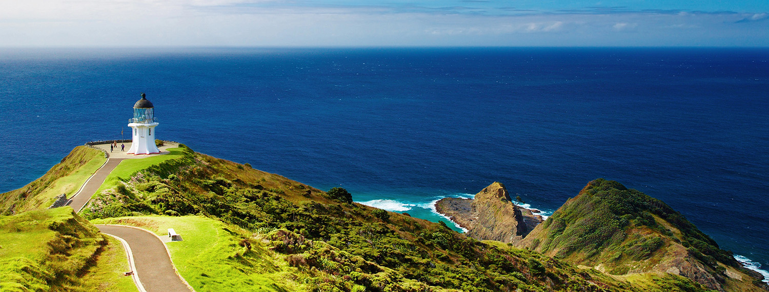 New Zealand coastal landscape